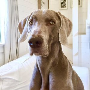 Meet your Posher, Kristin